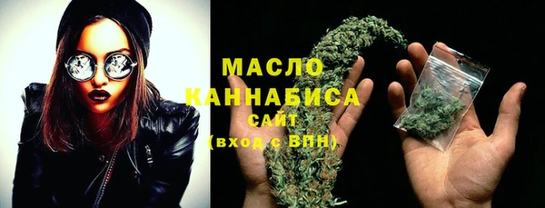 шишки Каменка