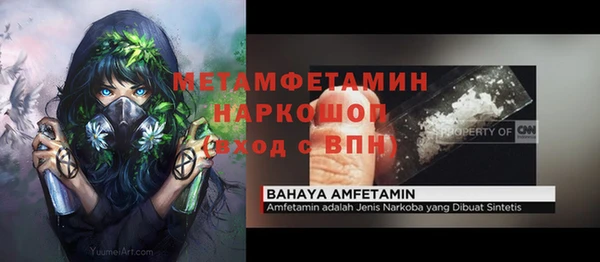 шишки Каменка