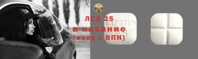 шишки Каменка