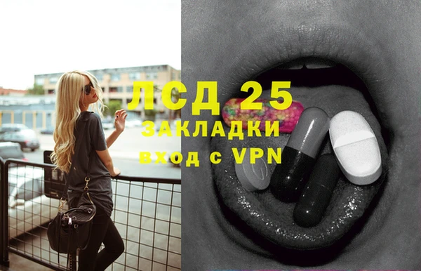 шишки Каменка