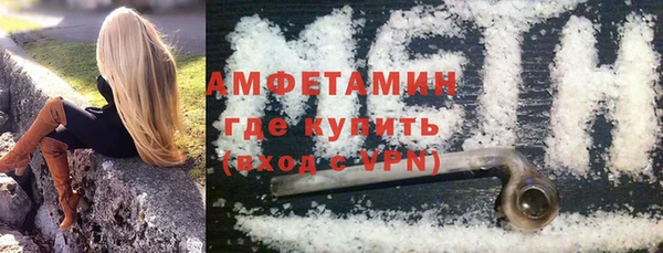 шишки Каменка
