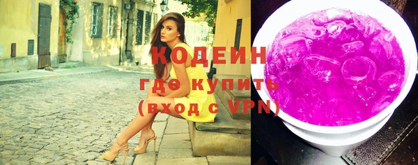 шишки Каменка