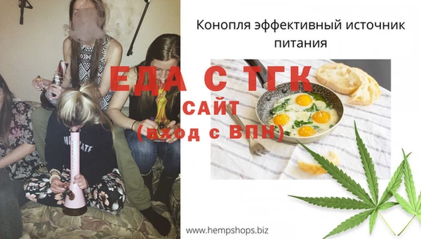 шишки Каменка