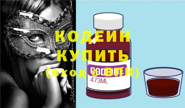 шишки Каменка