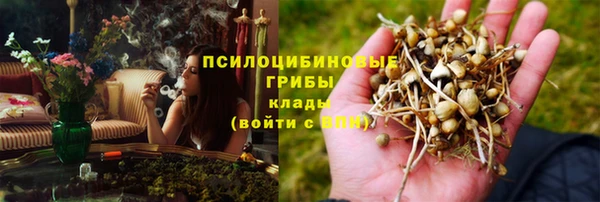 шишки Каменка