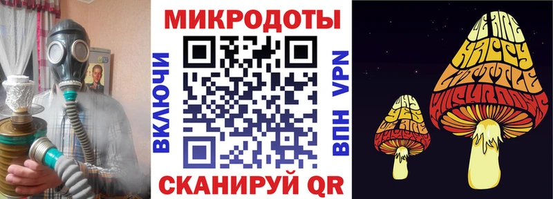 Купить  Сретенск  Галлюциногенные грибы прущие грибы 